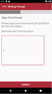 text_prompt